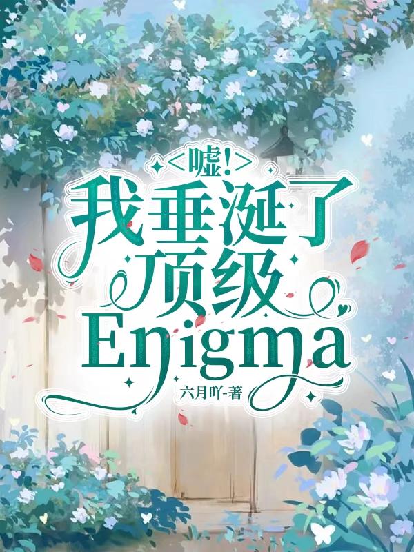 嘘！我垂涎了顶级Enigma