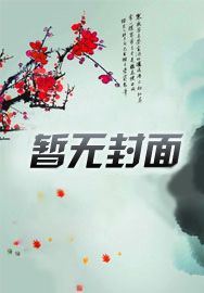 全职法师同人之王霖传